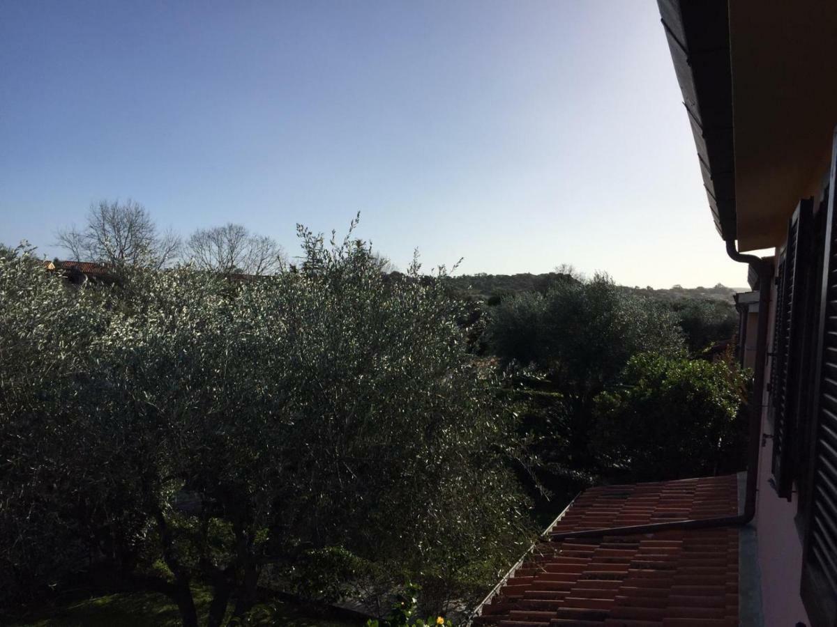Bilocale Residence Gli Ulivi San Teodoro San Teodoro  Zewnętrze zdjęcie