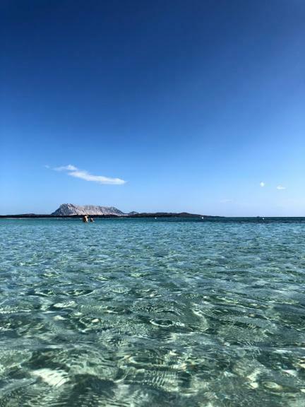 Bilocale Residence Gli Ulivi San Teodoro San Teodoro  Zewnętrze zdjęcie
