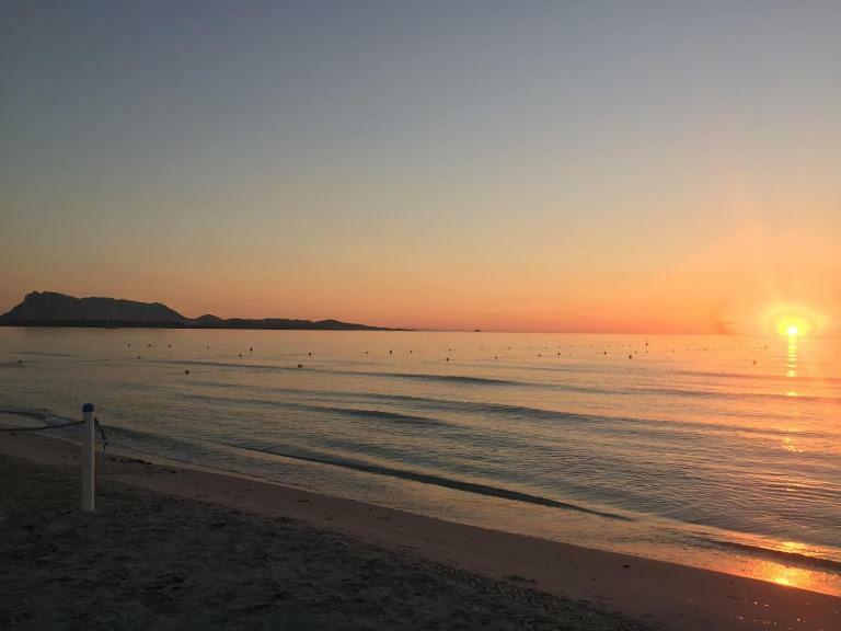 Bilocale Residence Gli Ulivi San Teodoro San Teodoro  Zewnętrze zdjęcie